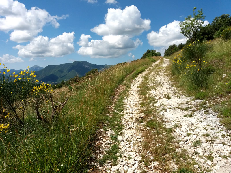 Monte Rotondo