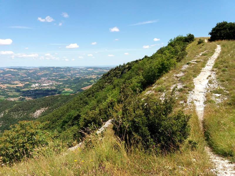 In cima al monte in bike