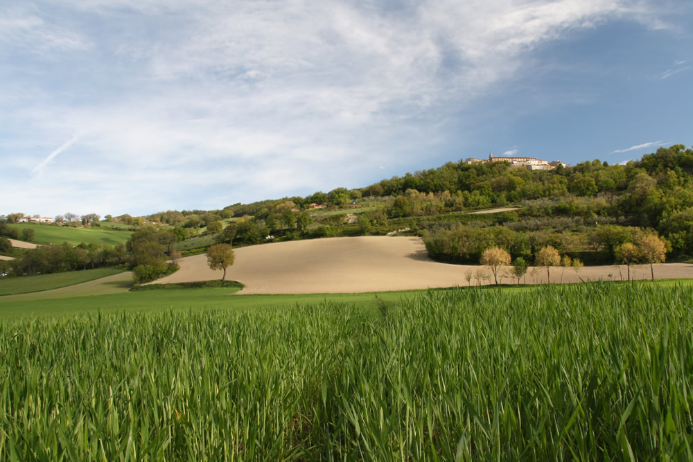 San Vito sul Cesano