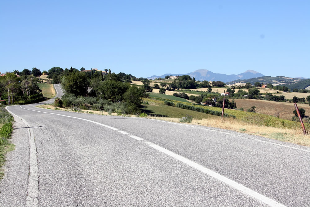 La strada panoramica che collega Corinaldo a Castelleone di Suasa. In lontananza il Massiccio del Monte Catria.