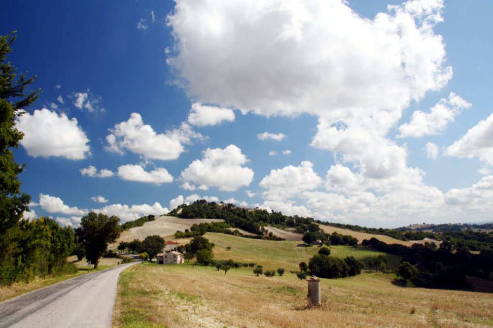 Arrivando a Montesecco da Pergola