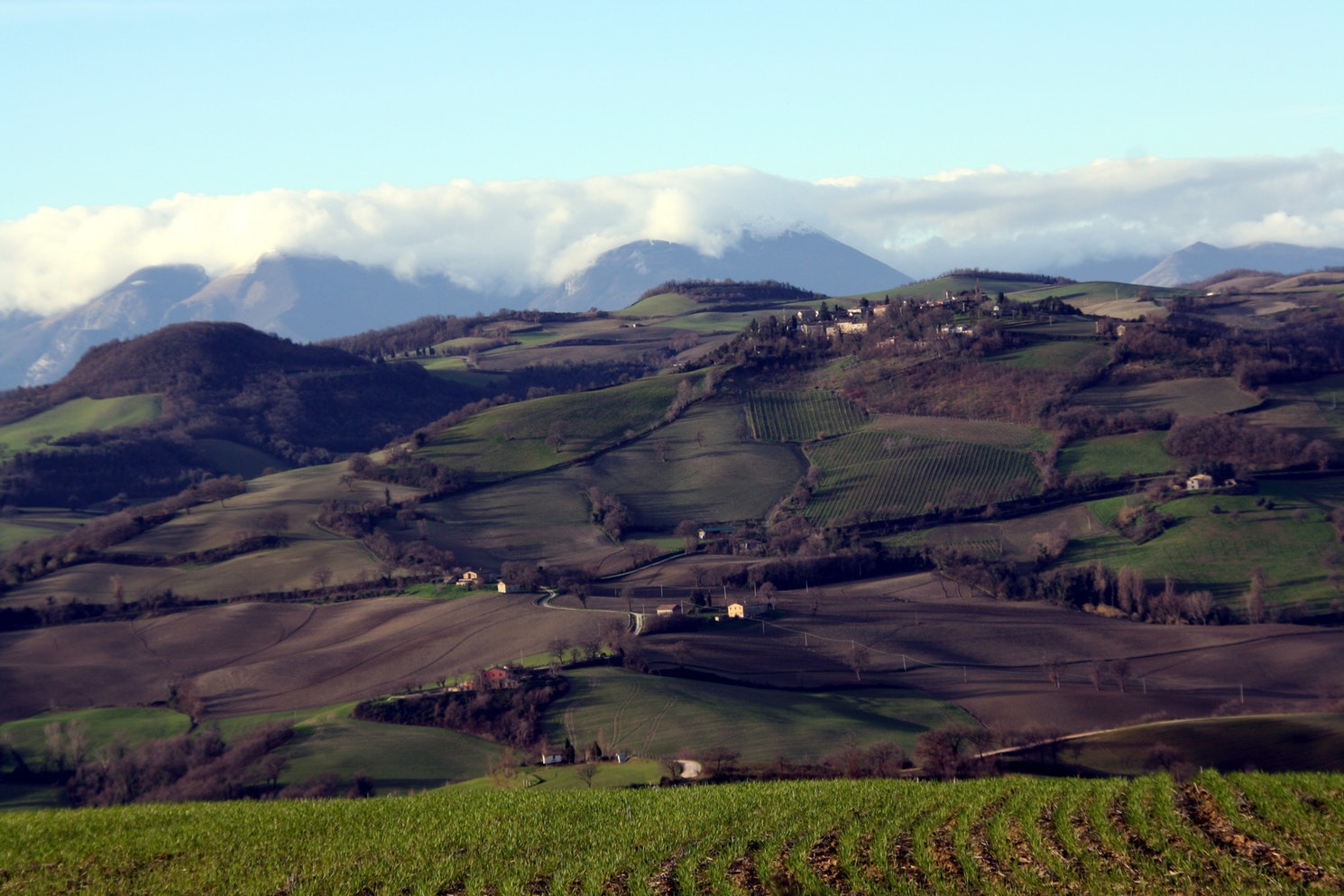 Montevecchio e il monte Catria