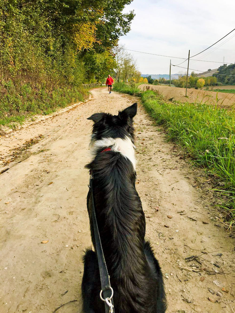 La campagna di San Costanzo