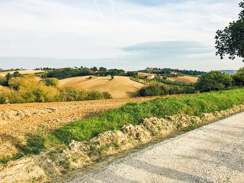 Panorama durante la passeggiata con Lampo